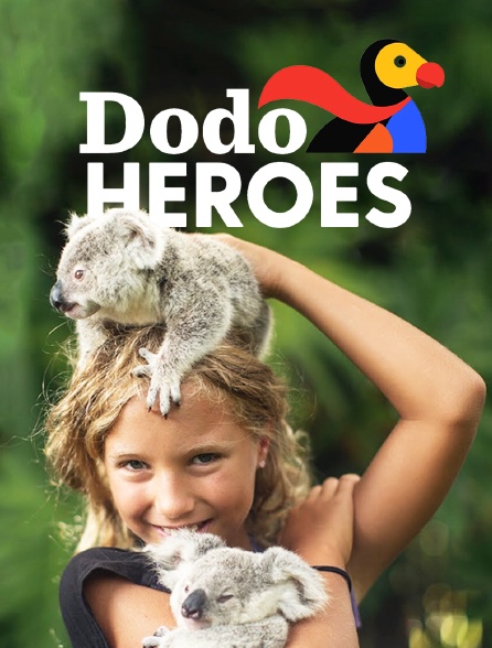 Dodo Heroes