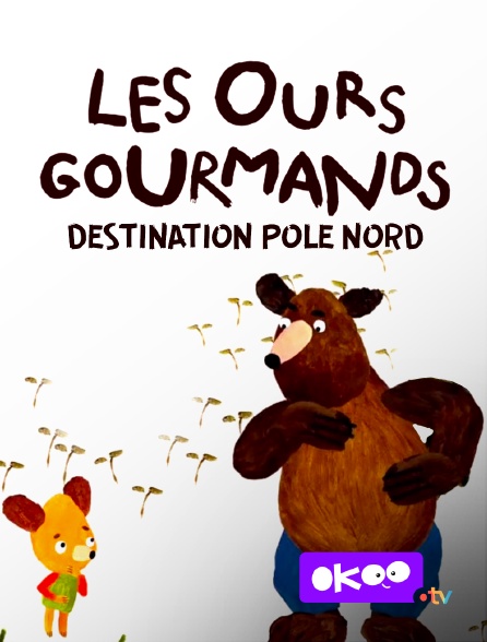 Okoo - Les ours gourmands : Destination pôle Nord