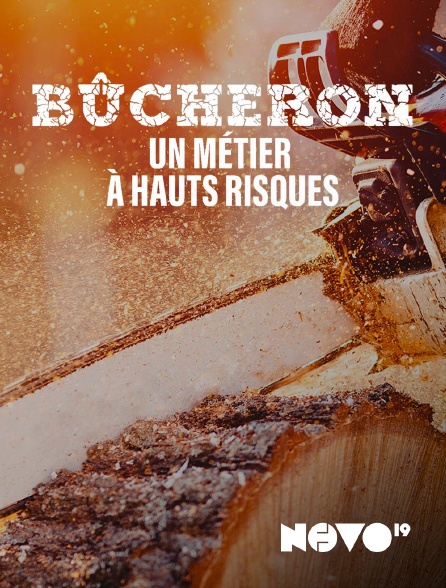 NOVO19 - Bucheron : un métier à hauts risques