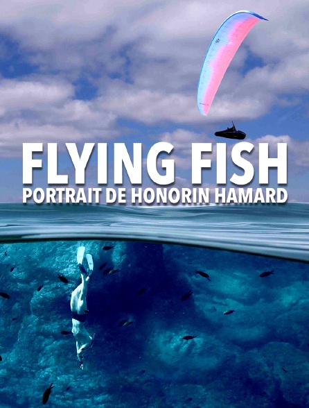 Flying Fish, portrait de Honorin Hamard