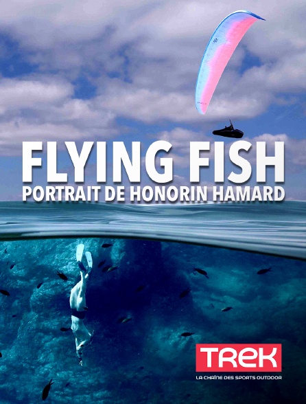 Trek - Flying Fish, portrait de Honorin Hamard