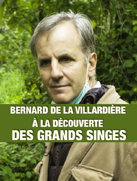 Bernard de La Villardière à la découverte des grands singes