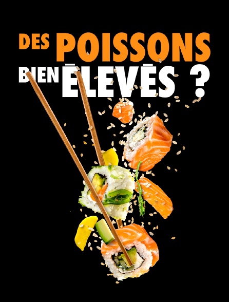 Des poissons bien élevés ?