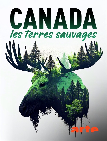 Arte - Canada : Les terres sauvages