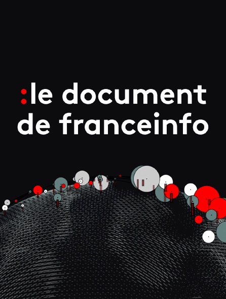 Le document de franceinfo
