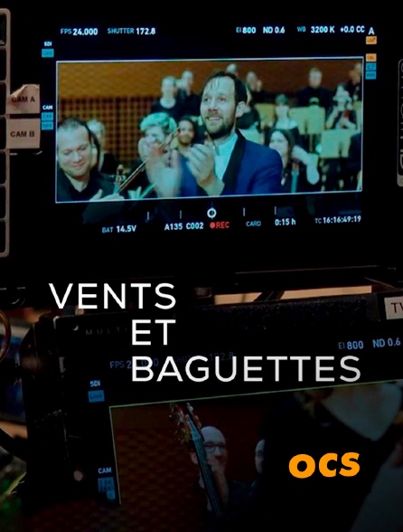 OCS - Vents et baguettes