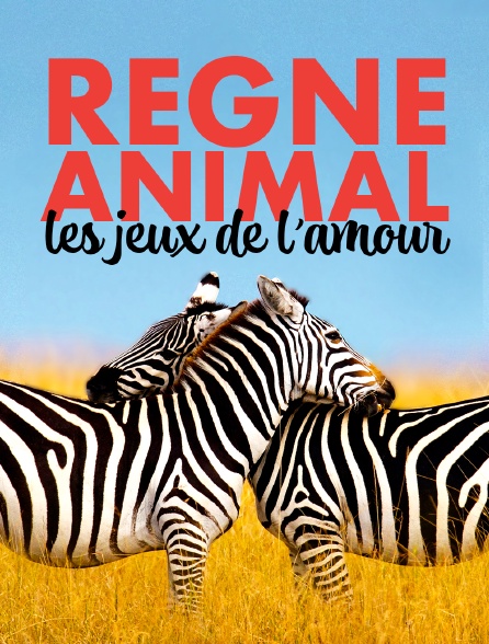 Règne animal, les jeux de l'amour