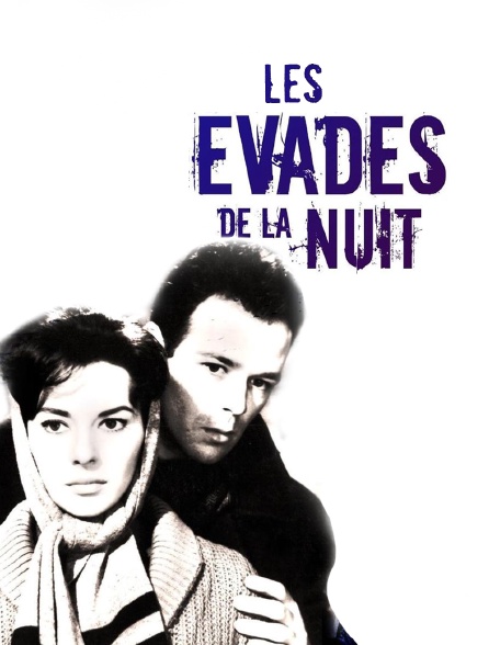 Les évadés de la nuit