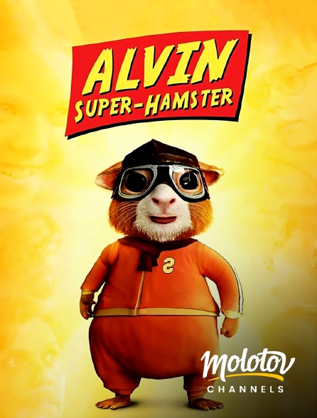 Mango - Alvin, super hamster