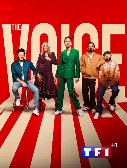 TF1 +1 - The Voice, la plus belle voix