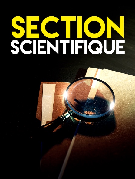 Section scientifique