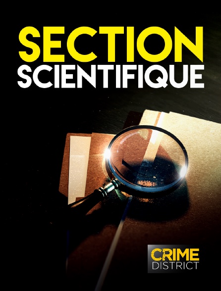 Crime District - Section scientifique