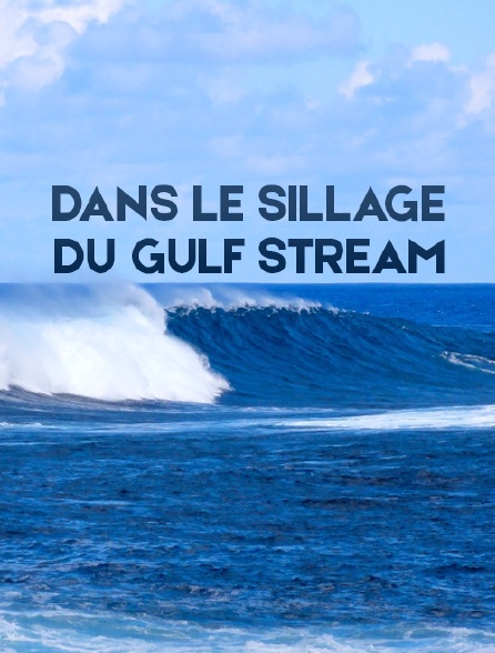 Dans le sillage du Gulf Stream