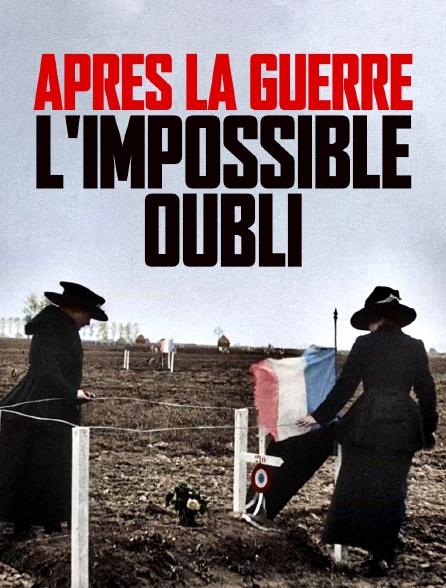 Après la guerre, l'impossible oubli 1919-1920 en streaming gratuit