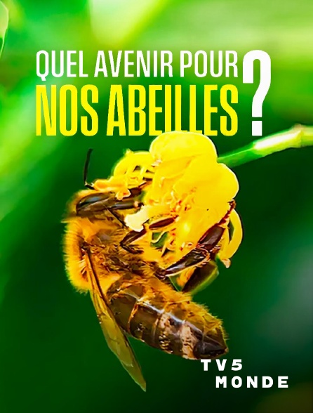 TV5MONDE - Quel avenir pour nos abeilles ?