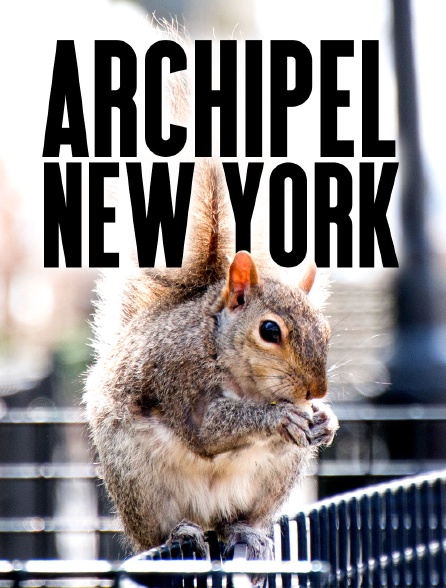 Archipel New York