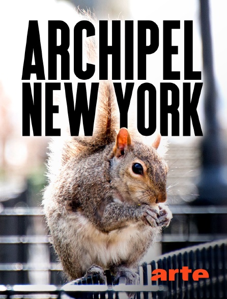 Arte - Archipel New York