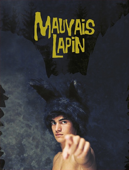 Mauvais lapin