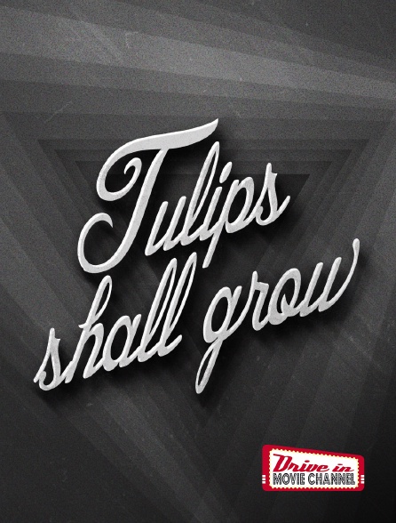 Drive-in Movie Channel - Tulips shall grow