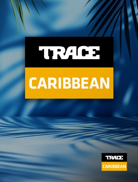 Trace Caribbean - Trace Caribbean en LIVE