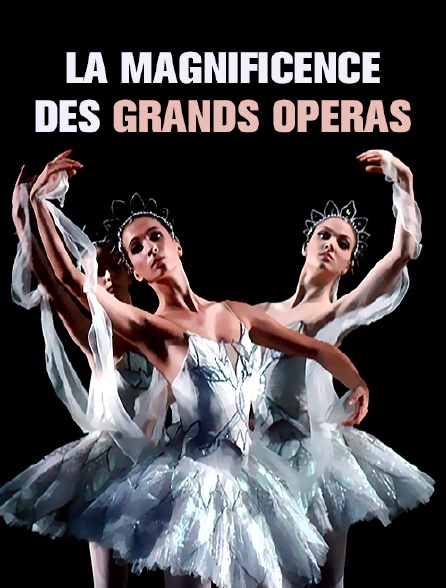 La magnificence des grands opéras