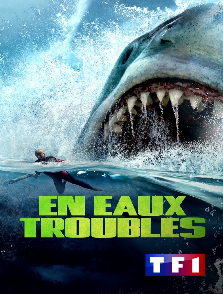 TF1 - En eaux troubles