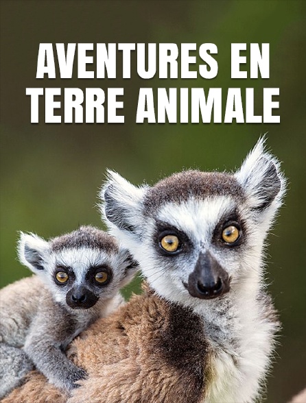 Aventures en terre animale