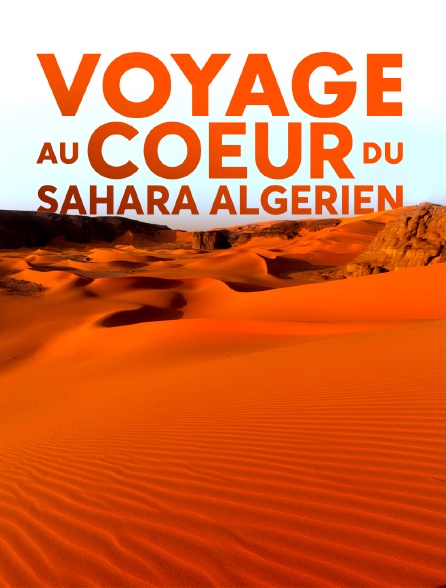 Voyage au coeur du Sahara algérien