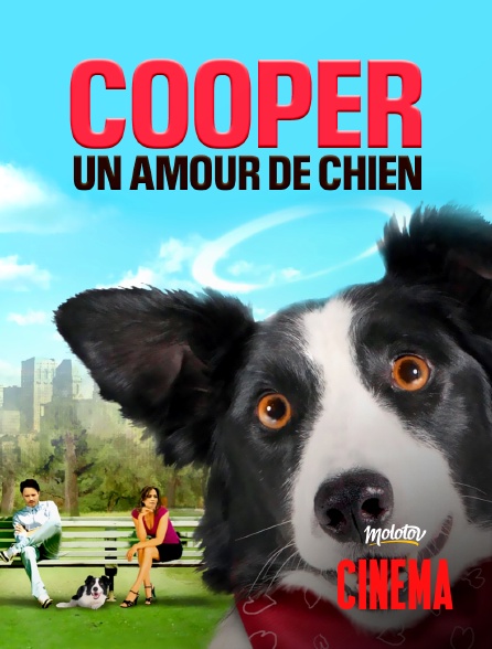Molotov Channels Cinéma - Cooper, un amour de chien