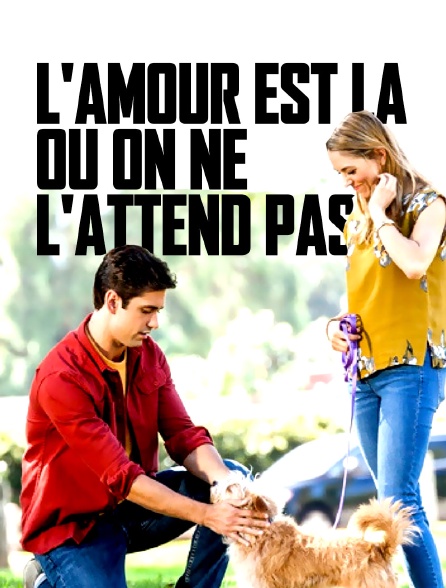 L'amour est là où on ne l'attend pas