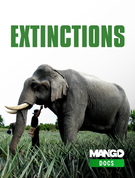 MANGO Docs - Extinctions