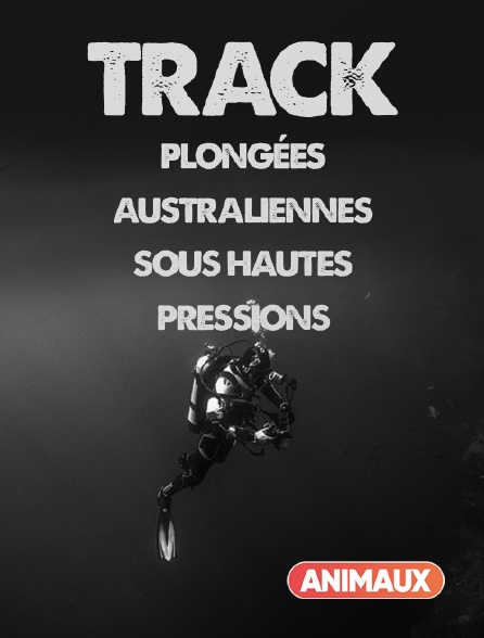 Animaux - Track, plongées australiennes sous hautes pressions