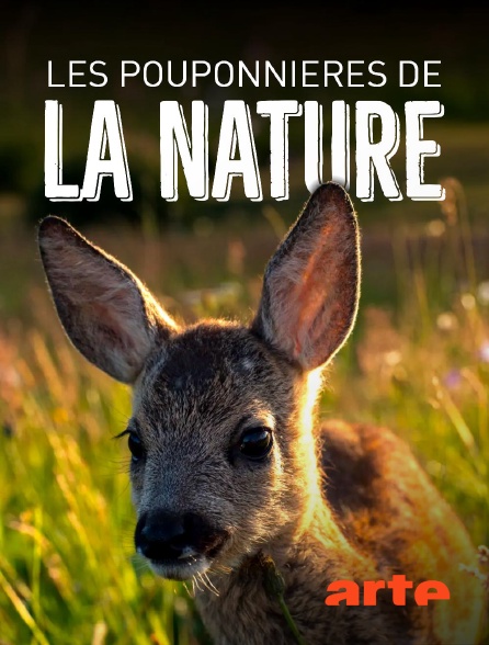 Arte - Les pouponnières de la nature