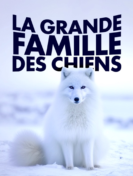 Une grande famille - France