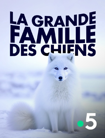 France 5 - La grande famille des chiens *2022