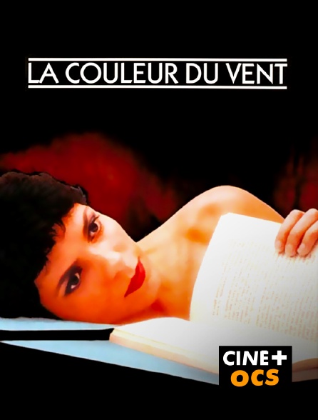 CINÉ Cinéma - La couleur du vent