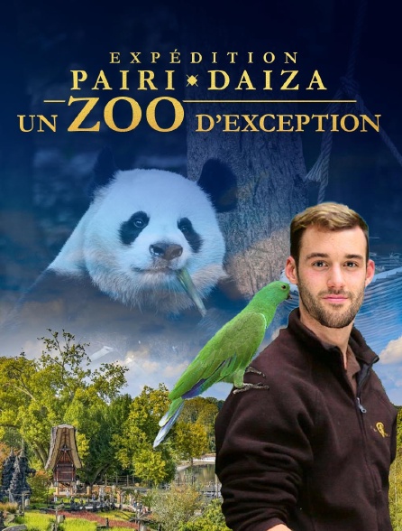 Expédition Pairi Daiza : un zoo d'exception