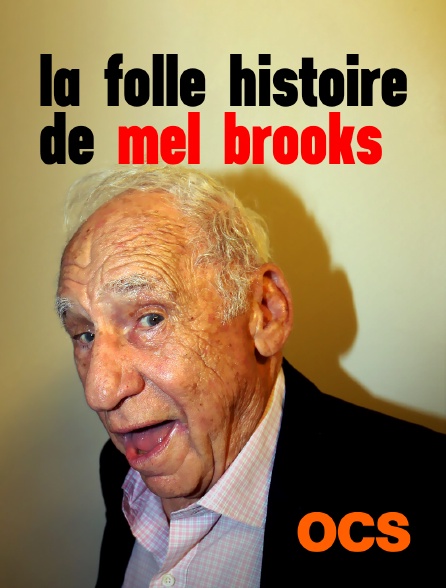 Les Producteurs Mel Brooks Streaming Vostfr La folle histoire Mel Brooks en Streaming sur OCS - Molotov.tv