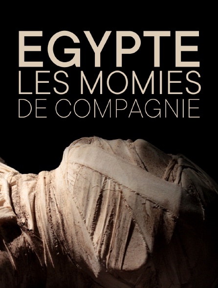 Égypte : les momies de compagnie