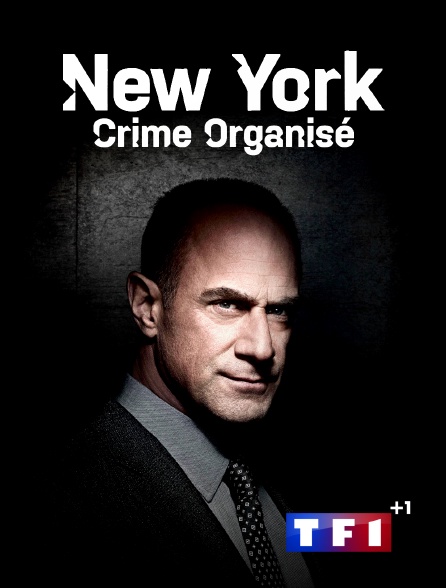 TF1 +1 - New York : crime organisé