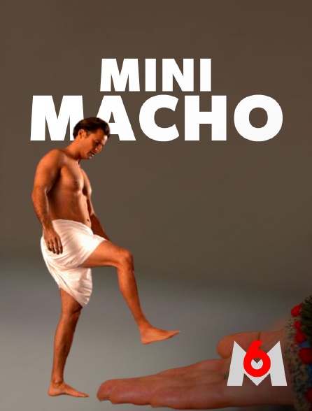 M6 - Mini macho