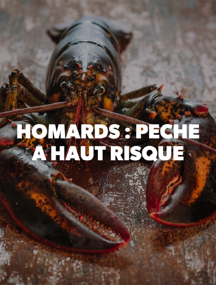 Homards : pêche à haut risque