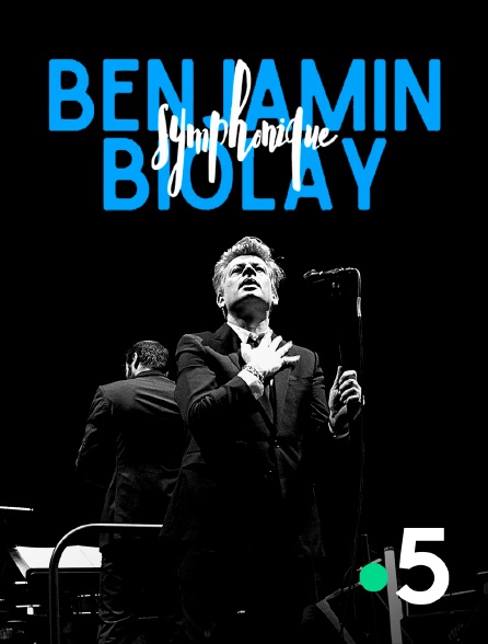 France 5 - Benjamin Biolay Symphonique