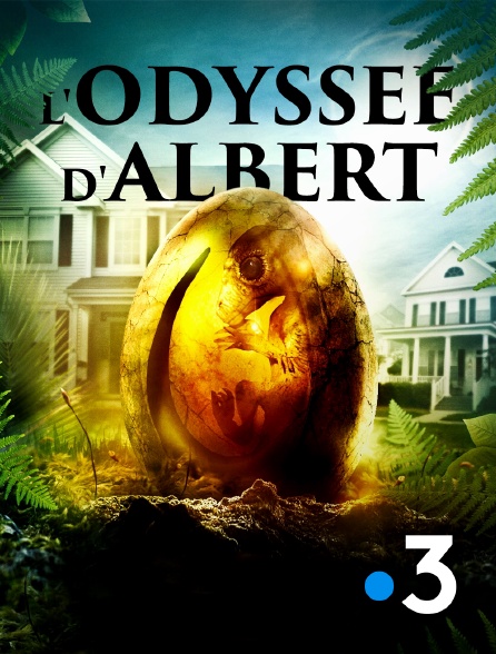 France 3 - L’odyssée d’Albert