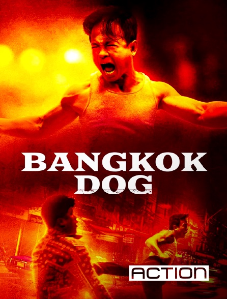 ACTION - Bangkok Dog en replay