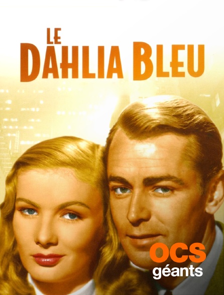 OCS Géants - Le Dahlia bleu