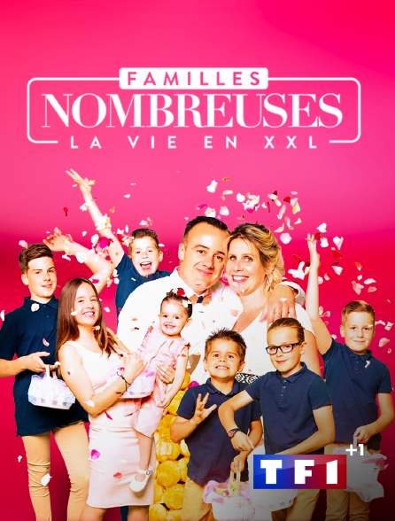 TF1+1 - Familles nombreuses : la vie en XXL