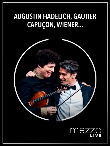Mezzo Live HD - Augustin Hadelich, Gautier Capuçon, Wiener Philharmoniker, Christian Thielemann: Brahms