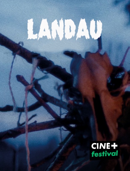 CINE+ Festival - Landau