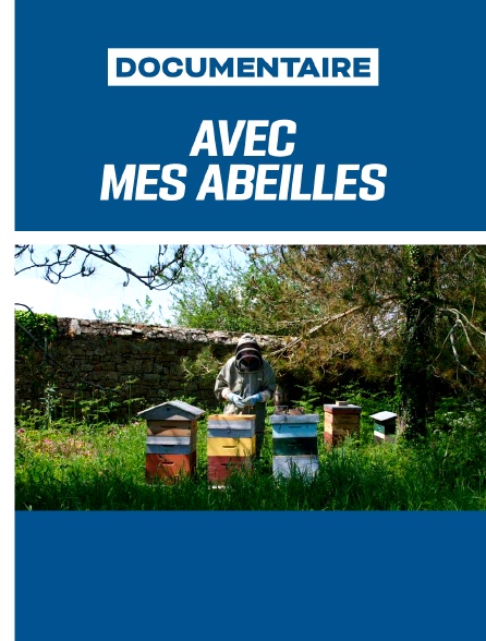 Avec mes abeilles